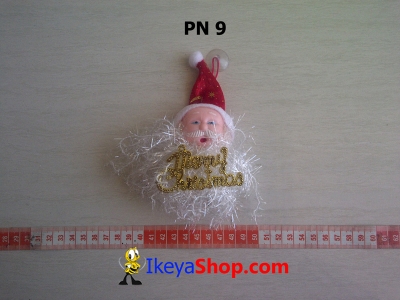 PN 9  large2